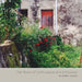 The Doors of Corfu Paxos and Antipaxos by Andrea R. Gravatt