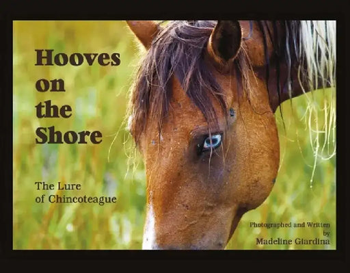 Hooves on the Shore: The Lure of Chincoteague by Madeline Giardina