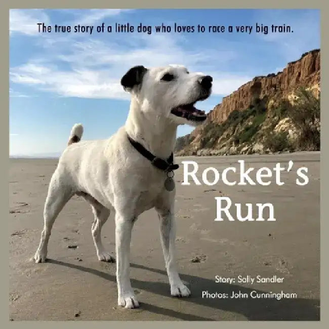 Rocket's Run by Sally Sandler