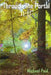 Through The Portal: 11:11 by Michael Paul