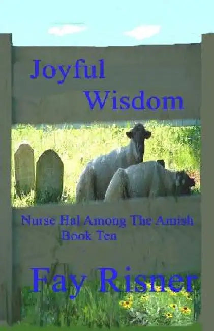 Joyful Wisdom: Nurse Hal Among The Amish by Fay Risner