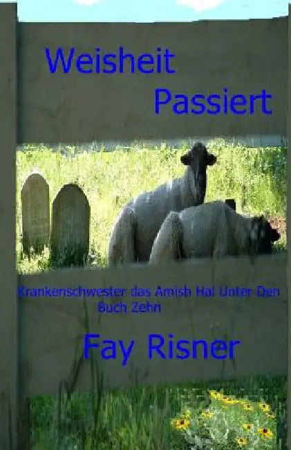 Weisheit Passiert: Krankenschwester Das Amish Unter Den by Risner, Fay