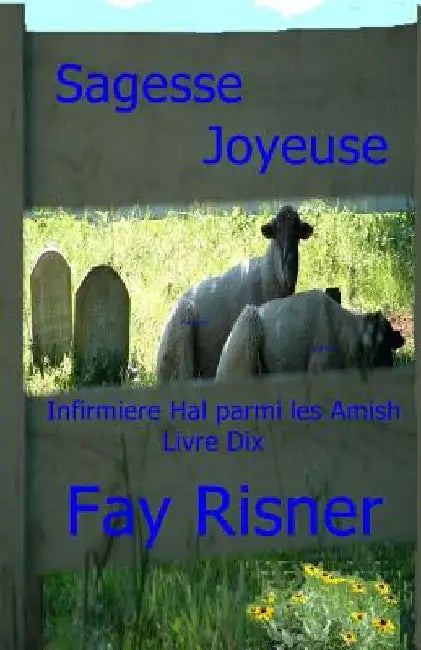 Sagesse Joyeuse: Infermiere Hal parmi les Amish by Risner, Fay