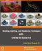 Shading, Lighting, and Rendering Techniques with Cinema 4D Studio R18 by Elizabeth Vt