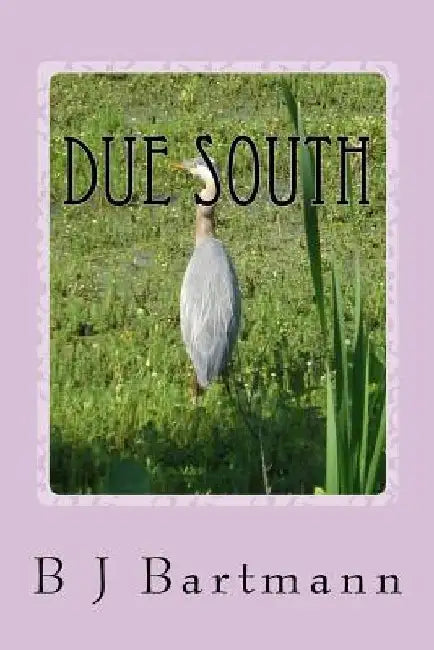 Due South by B. J. Bartmann