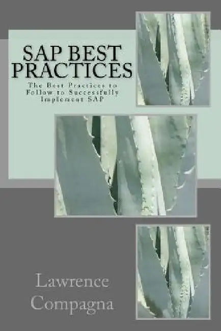SAP Best Practices: The Best Practices to Follow to Successfully Implement SAP by Lawrence Compagna