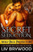 Secret Seduction by LIV Brywood