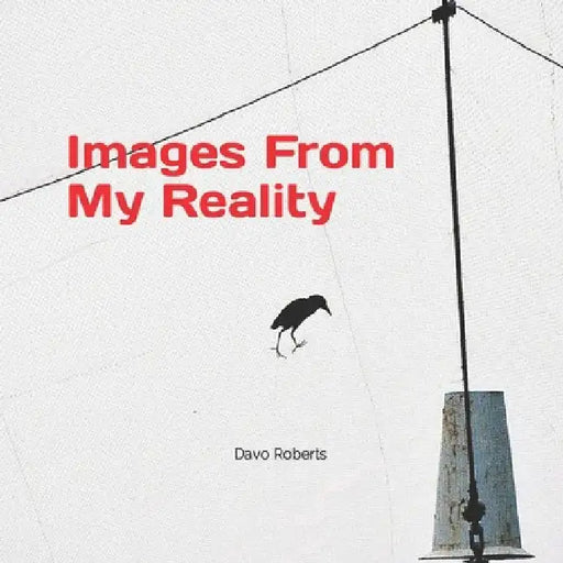 Images from my reality by Davo Roberts
