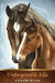 Unforgettable Ella by Author Susan Ryan
