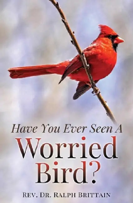 Have You Ever Seen A Worried Bird? by Ralph Brittain