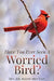 Have You Ever Seen A Worried Bird? by Ralph Brittain
