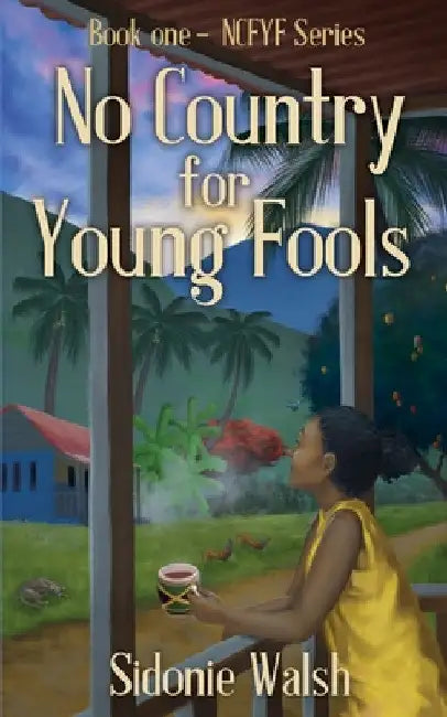 No Country For Young Fools: Book One - NCFYF Series by Sidonie Walsh