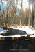 COMMON THOUGHTS on the WORD II by Lyndon B. Stimeling