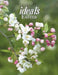Easter Ideals 2024 by Melinda Lee Rathjen