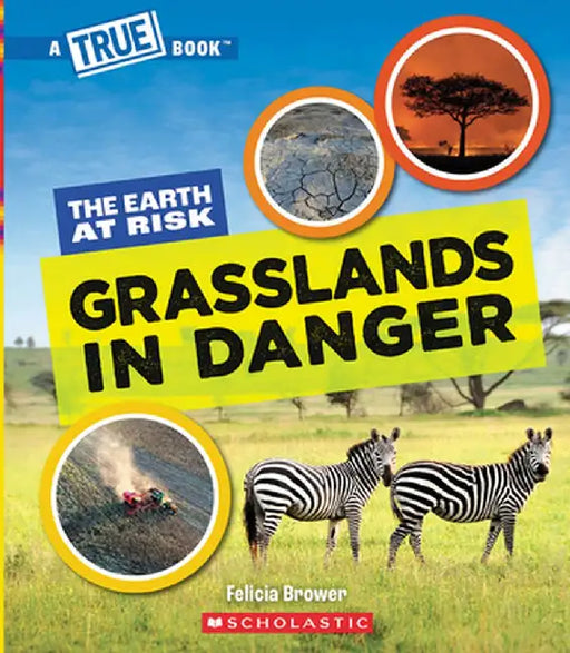 Grasslands in Danger (a True Book: The Earth at Risk) by Felicia Brower