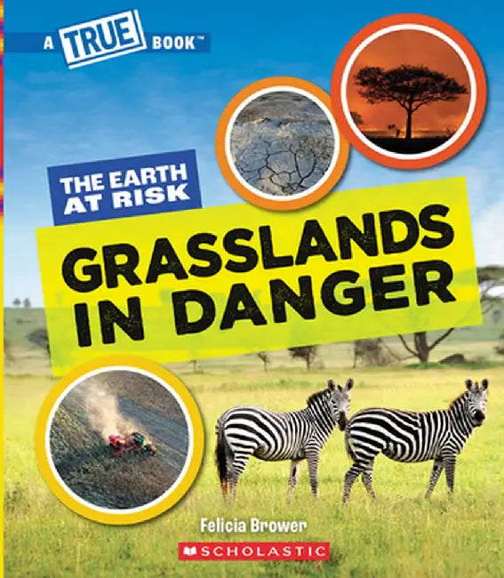Grasslands in Danger (a True Book: The Earth at Risk) by Felicia Brower