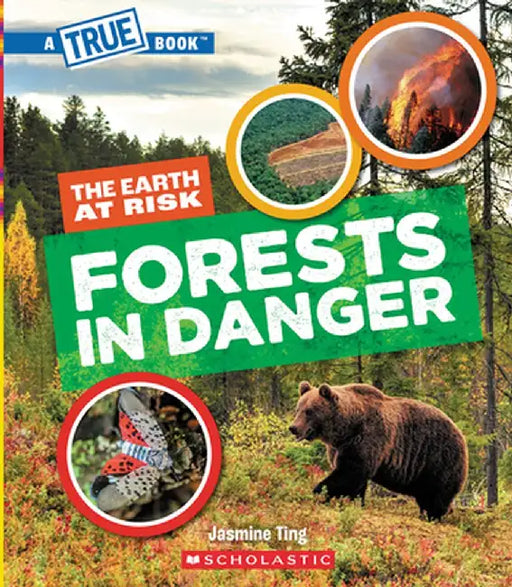 Forests in Danger (a True Book: The Earth at Risk) by Jasmine Ting