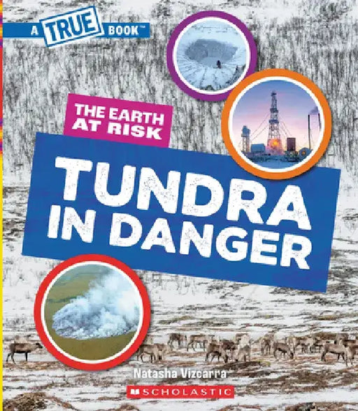 Tundra in Danger (a True Book: The Earth at Risk) by Natasha Vizcarra