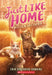 Kitten Delivery (Just Like Home, Book Two) by Erin Soderberg Downing