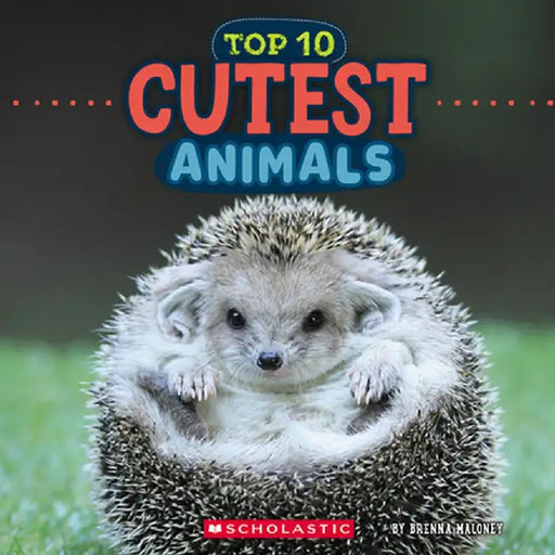 Top 10 Cutest Animals (Wild World) by Brenna Maloney
