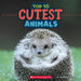 Top 10 Cutest Animals (Wild World) by Brenna Maloney
