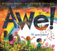 Awe! by Chana Stiefel, Susan Gal