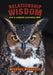 Relationship Wisdom: How to establish everlasting LOVE! by Michael McDuffey