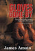 Gloves Gone by: Heavyweight Boxers from the Glorious Era 1960 to 1980 by James Amato