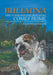 Bullmina the Courageous Bulldog Comes Home by Lita Eitner-England