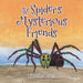 The Spider's Mysterious Friends by Timothy Bates