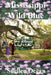 Mississippi Wild Blue by Suellen Ocean
