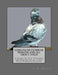 Long Faced Tumbler Pigeons and All About Them: A Guide To The Breeding and Exhibiting of Long Face Tumbler Pigeons by Jackson Chambers