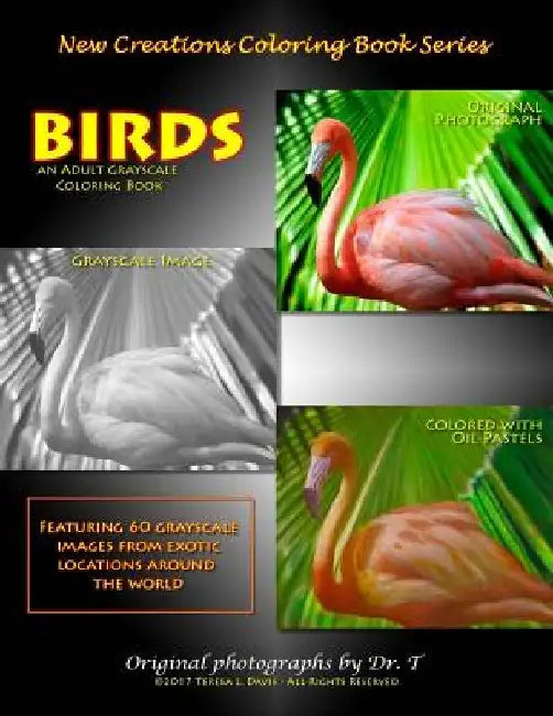 New Creations Coloring Book Series: Birds by Teresa Davis