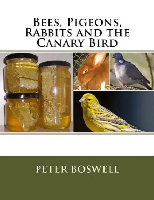 Bees, Pigeons, Rabbits and the Canary Bird by Jackson Chambers