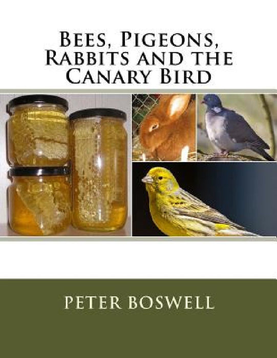 Bees, Pigeons, Rabbits and the Canary Bird by Jackson Chambers