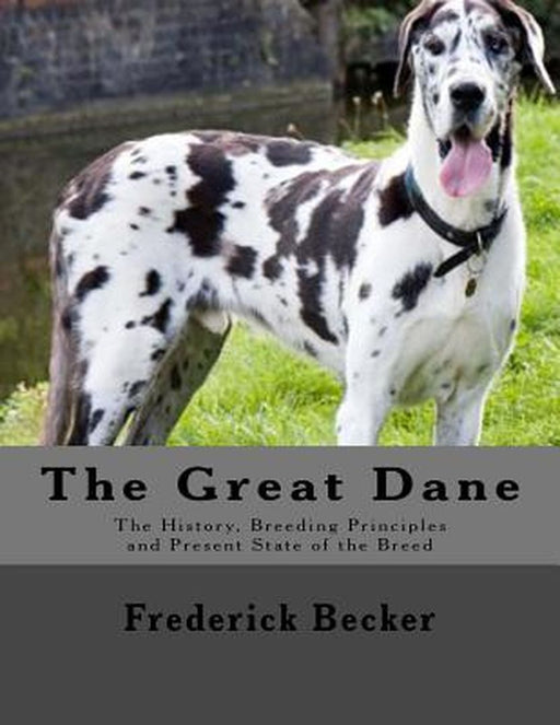 Grt Dane by Becker Frederick