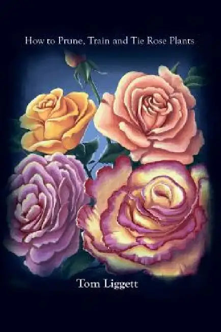 How To Prune, Train and Tie Rose Plants by Tom Liggett