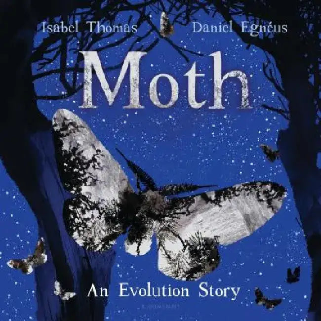 Moth by Isabel Thomas
