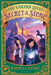 Secret in the Stone by Kamilla Benko