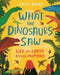 What the Dinosaurs Saw: Life on Earth Before Humans by Fatti Burke
