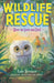 How to Save an Owl by Kate Messner
