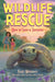 How to Save a Tortoise by Kate Messner