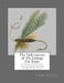 The Vade mecum of Fly Fishing For Trout: A Complete Treatise on the Art of Angling and the Manufacture of Artificial Flies by Roger Chambers