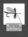 Fly Fishing and Fly Making For Trout, Bass and Salmon by Roger Chambers