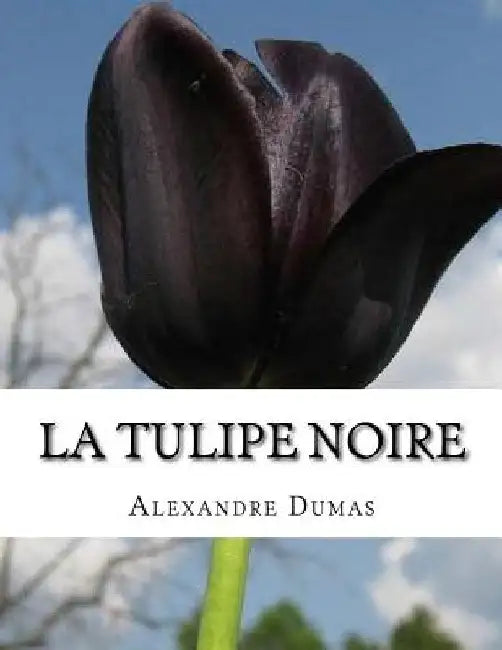 La Tulipe noire by Dumas, Alexandre
