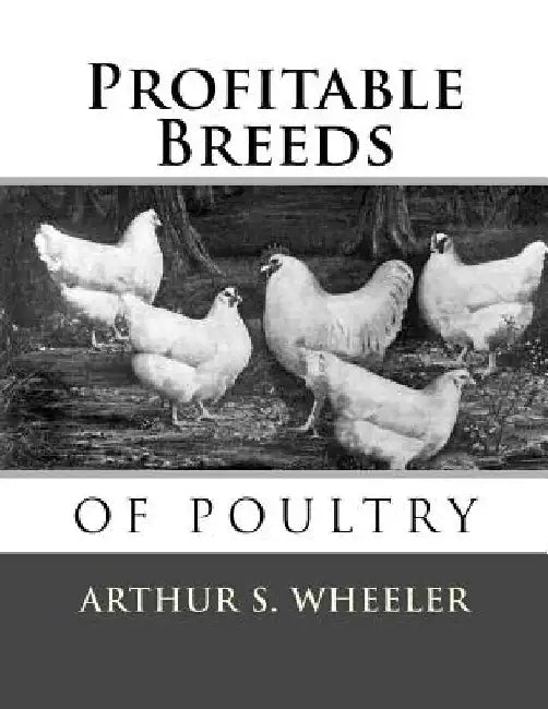Profitable Breeds of Poultry by Jackson Chambers
