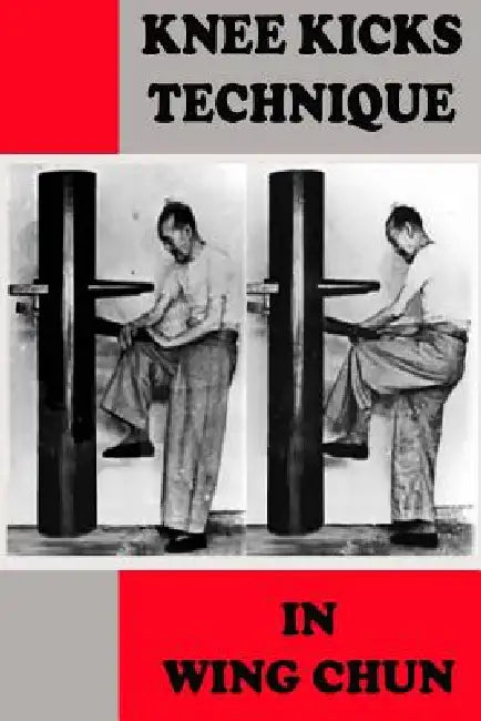 Knee kicks technique in Wing Chun by Semyon Neskorodev