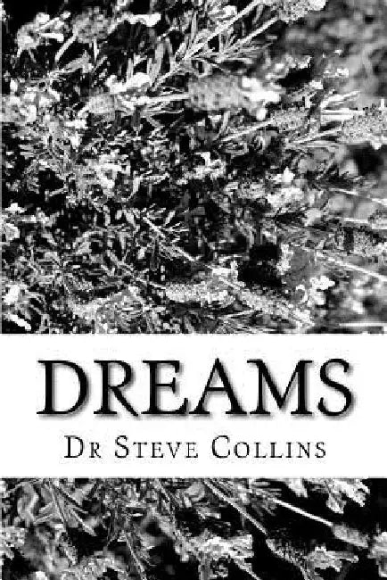 Dreams by Steve Collins