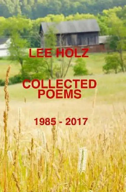 Collected Poems: 1985-2017 by Lee Holz