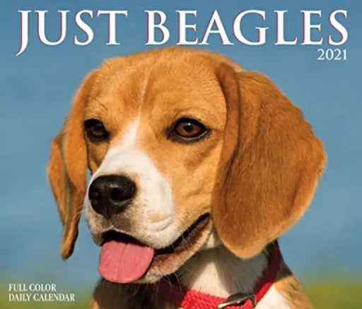 Just Beagles 2021 Box Calendar (Dog Breed Calendar) by Willow Creek Press